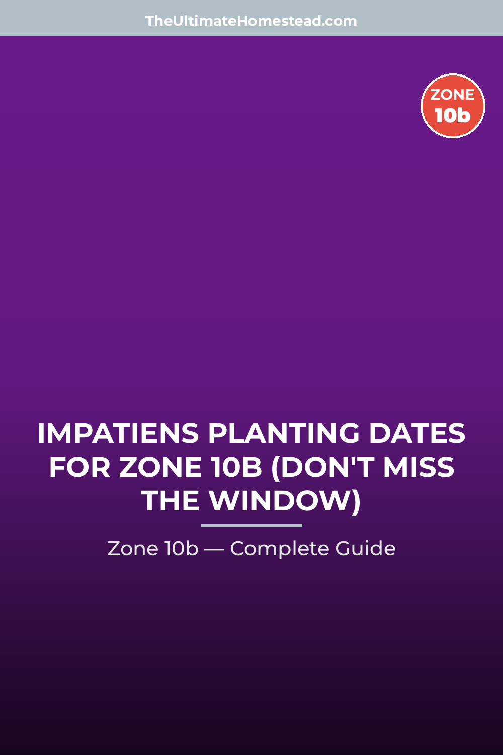 When to Plant Impatiens in Zone 10b