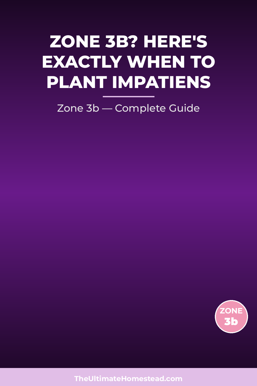 When to Plant Impatiens in Zone 3b
