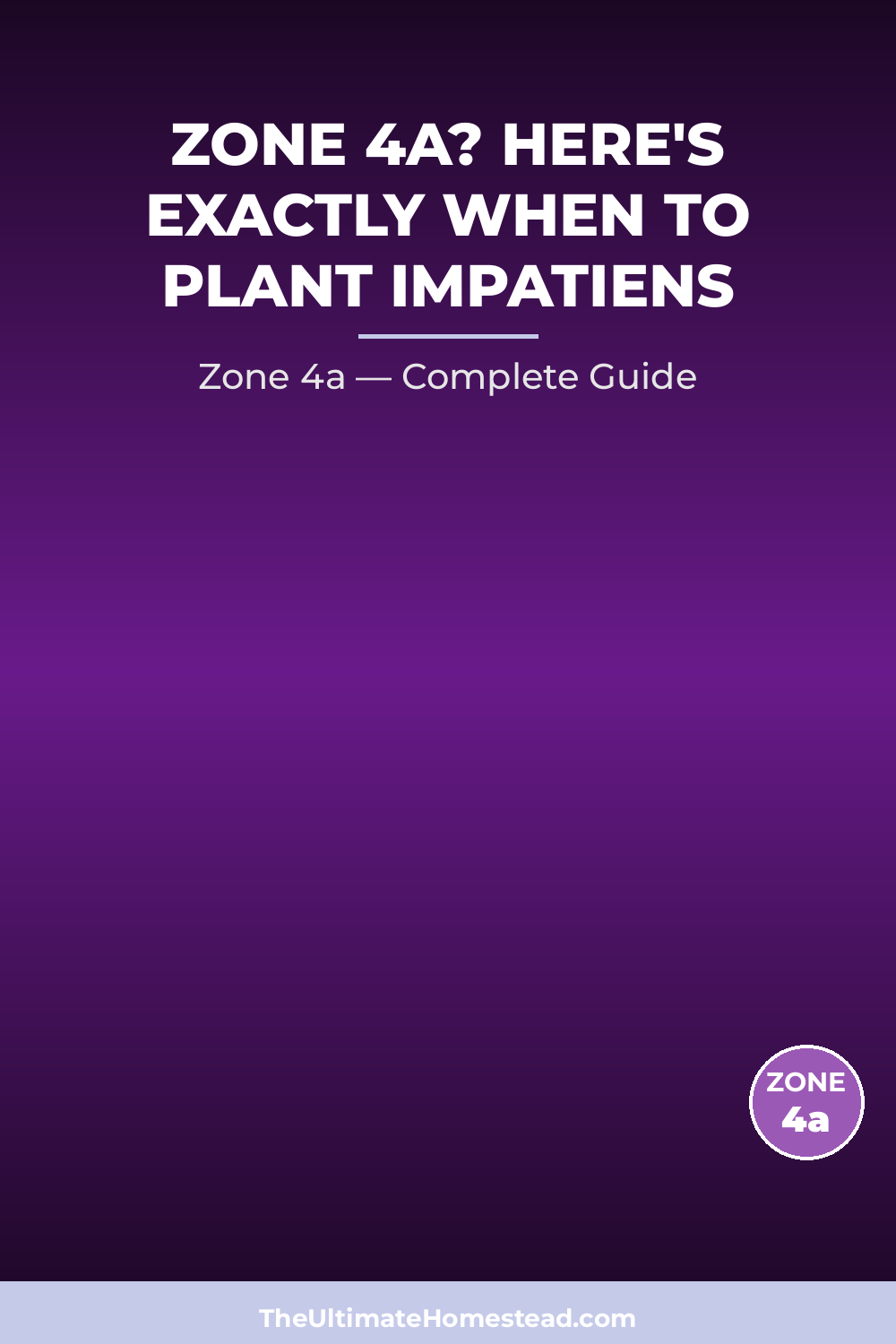 When to Plant Impatiens in Zone 4a