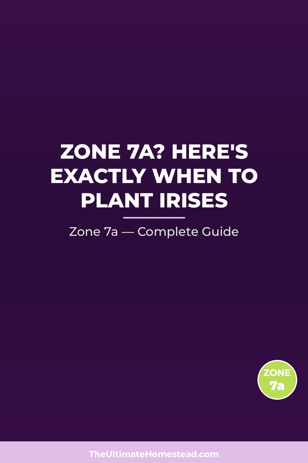 When to Plant Irises in Zone 7a