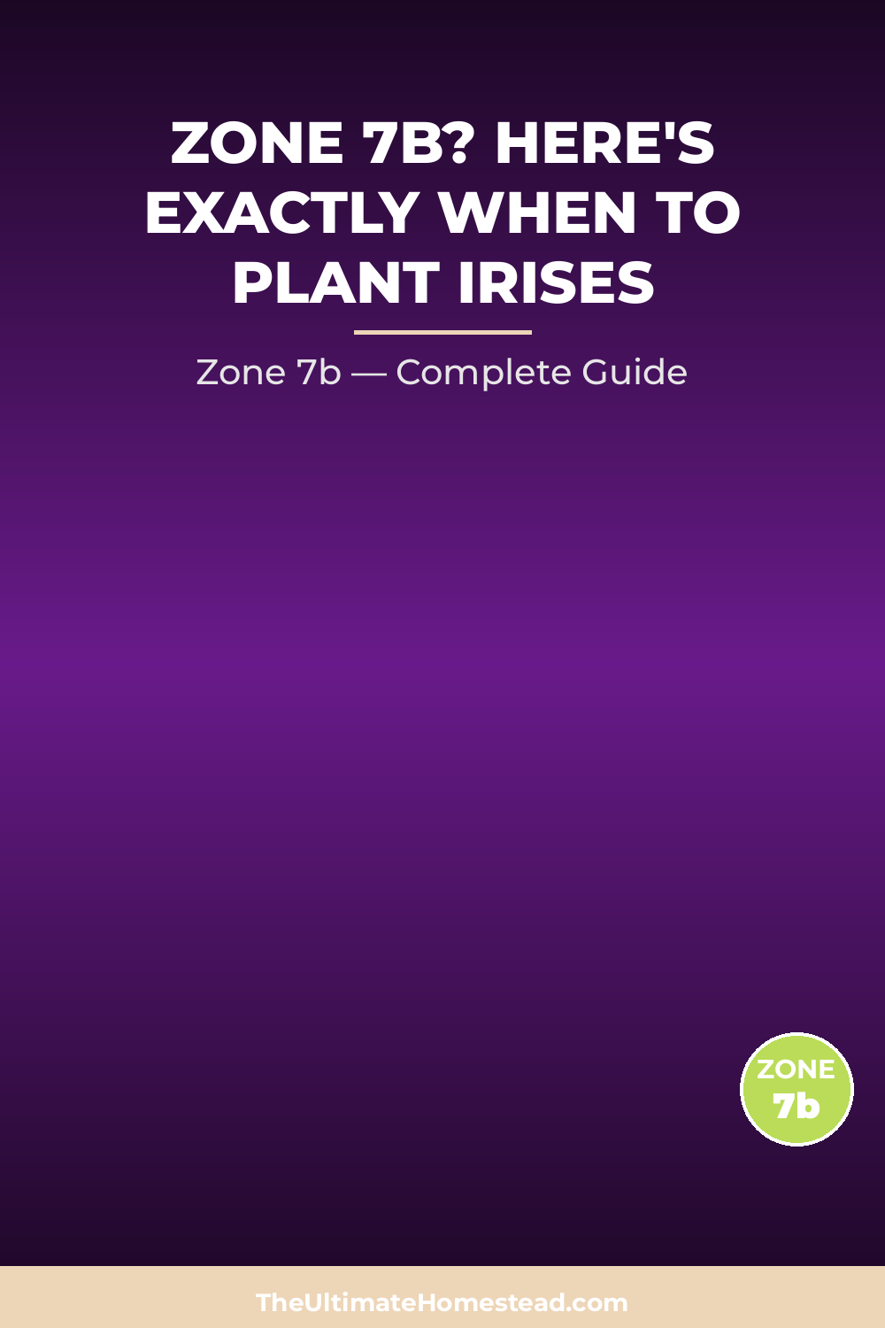 When to Plant Irises in Zone 7b