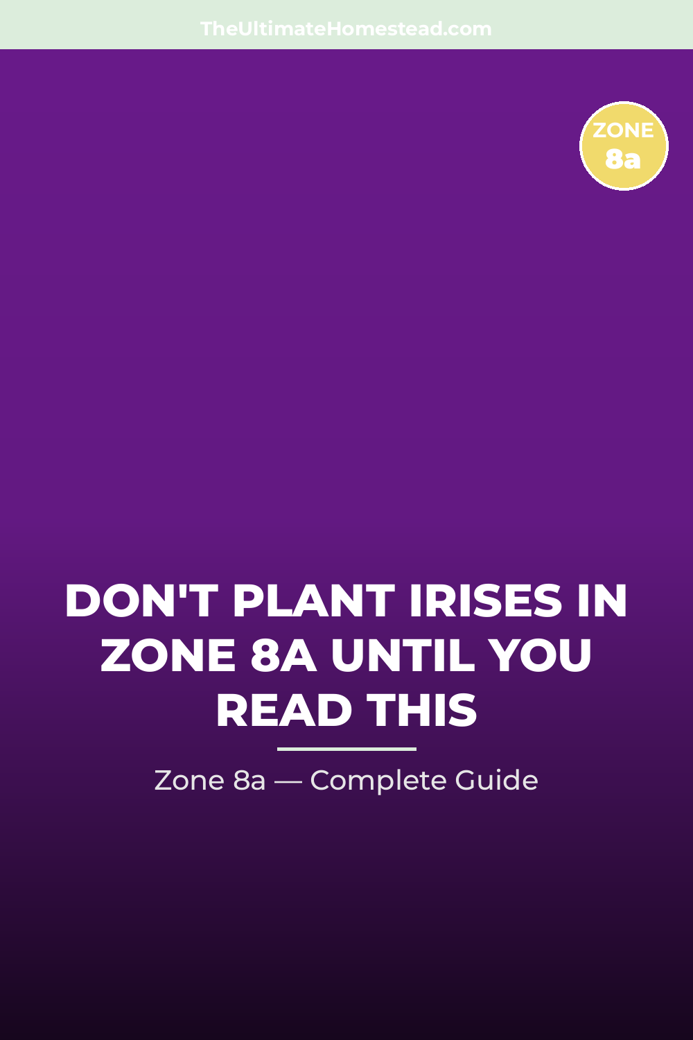 When to Plant Irises in Zone 8a