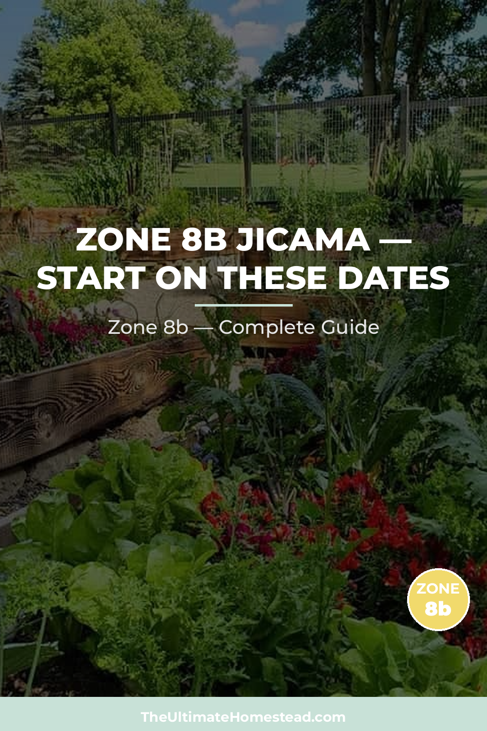 When to Plant Jicama in Zone 8b