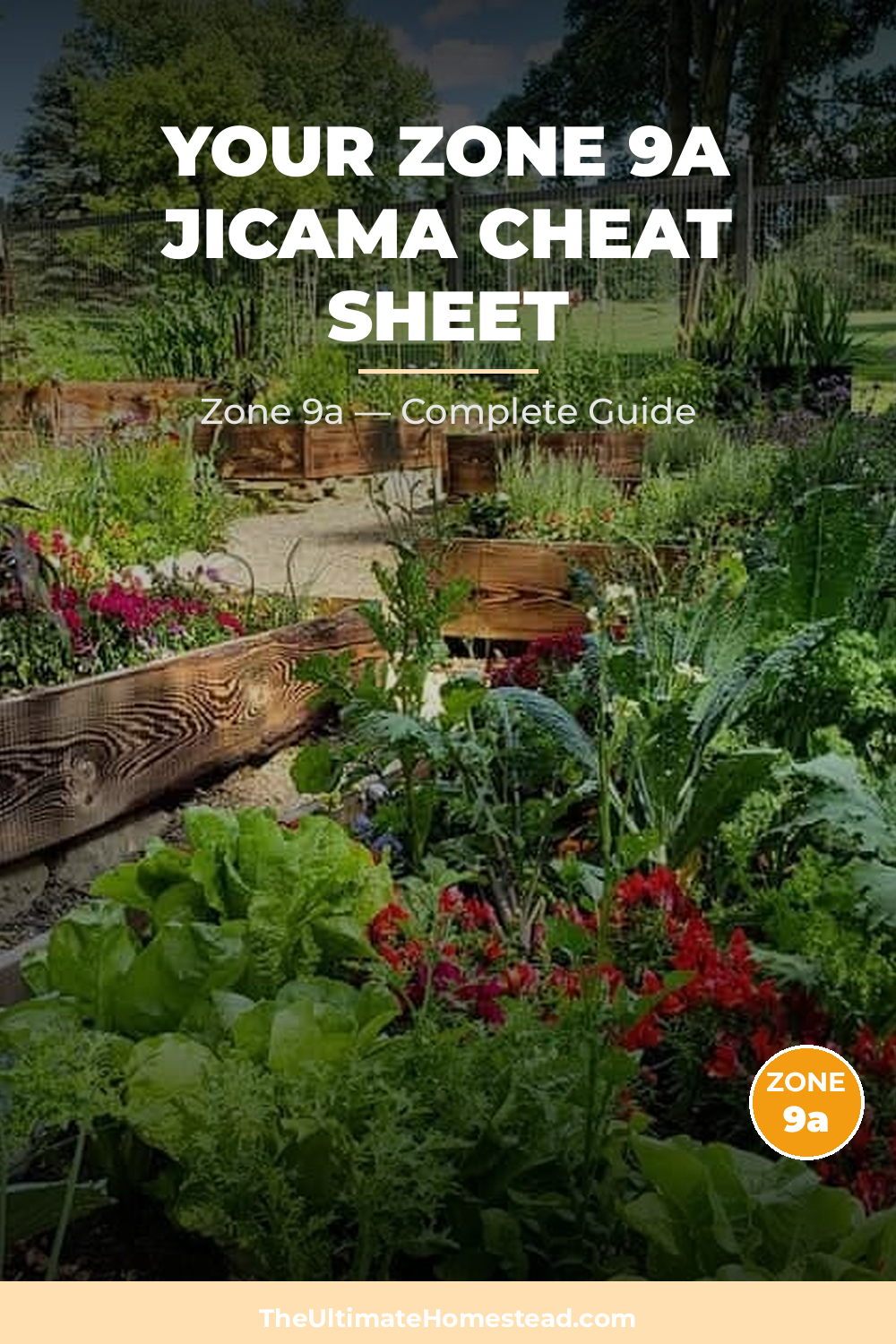 When to Plant Jicama in Zone 9a