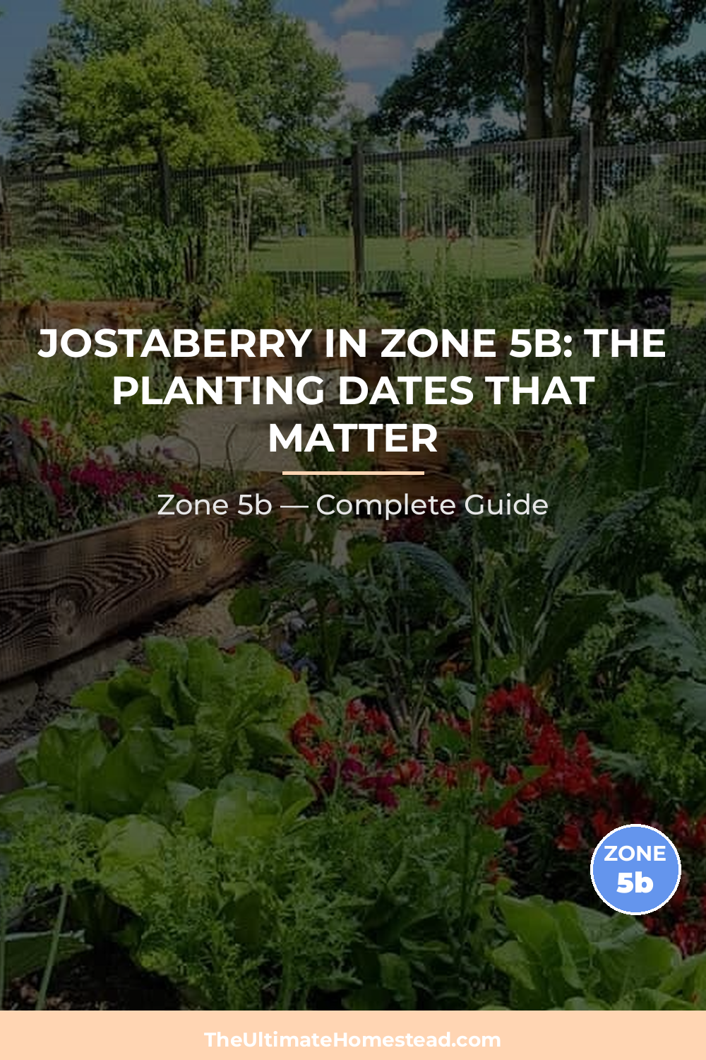 When to Plant Jostaberry in Zone 5b