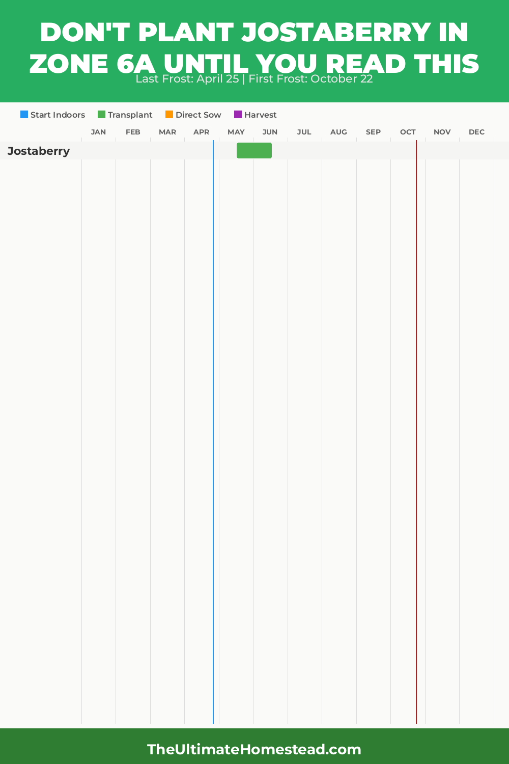 When to Plant Jostaberry in Zone 6a