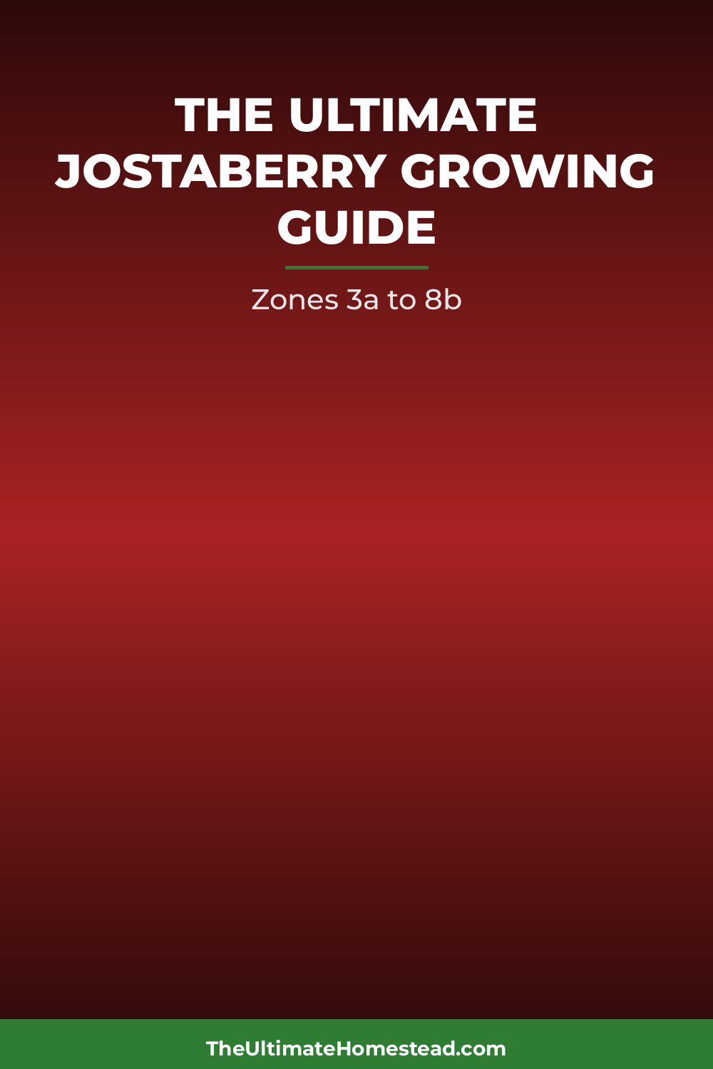 Jostaberry Planting Guide