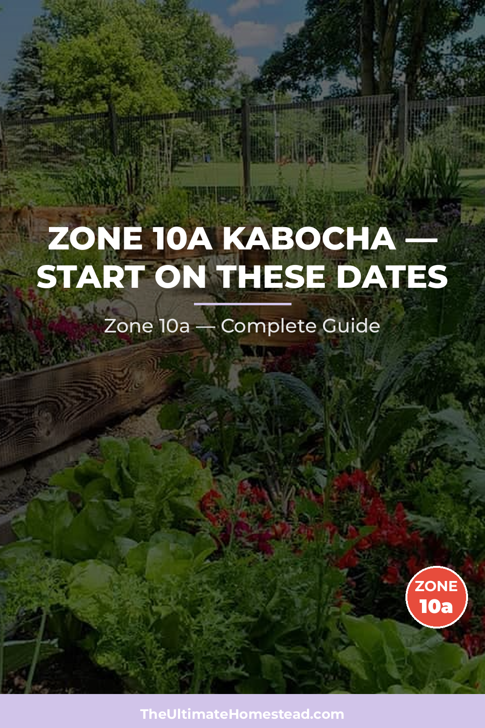 When to Plant Kabocha in Zone 10a