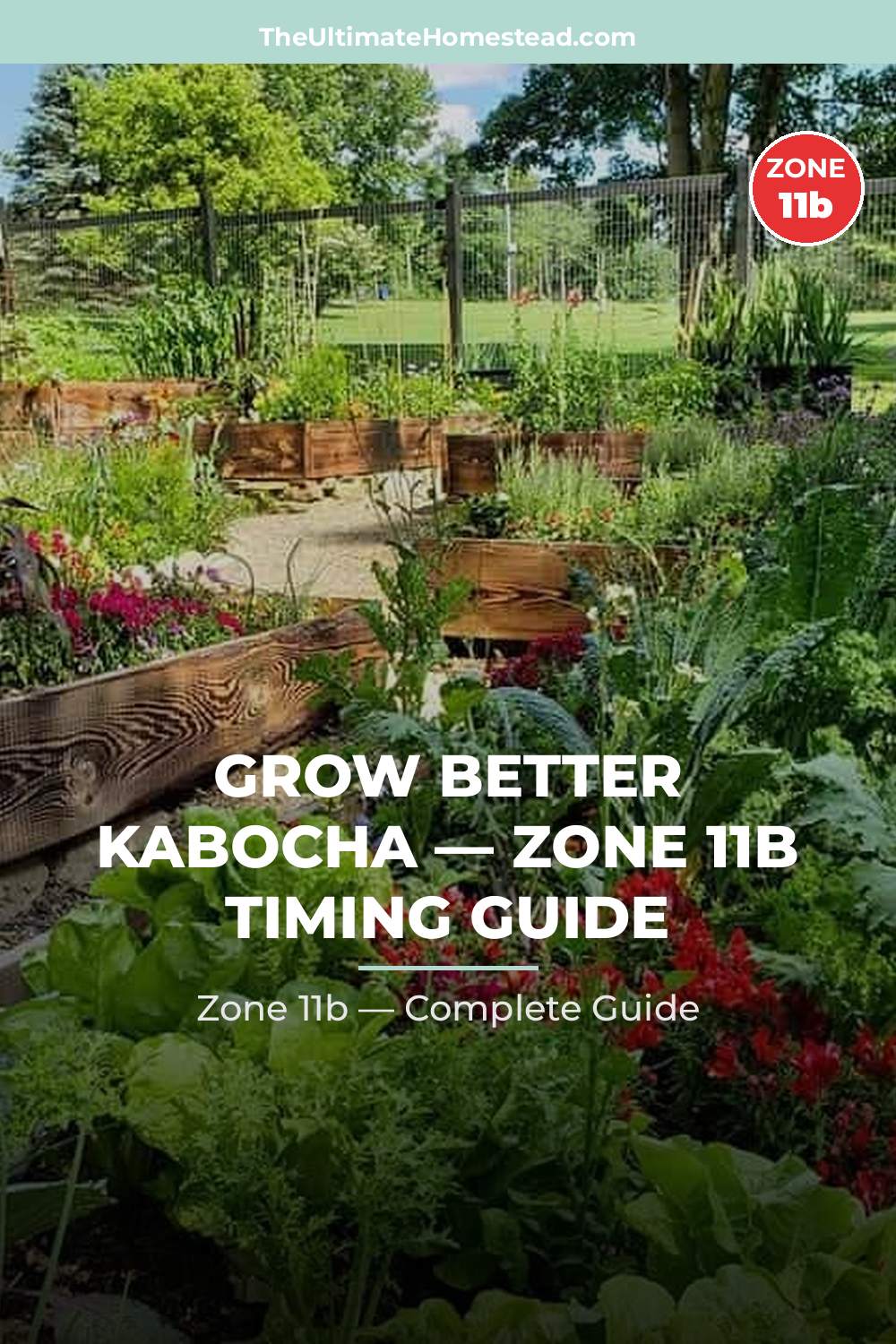 When to Plant Kabocha in Zone 11b