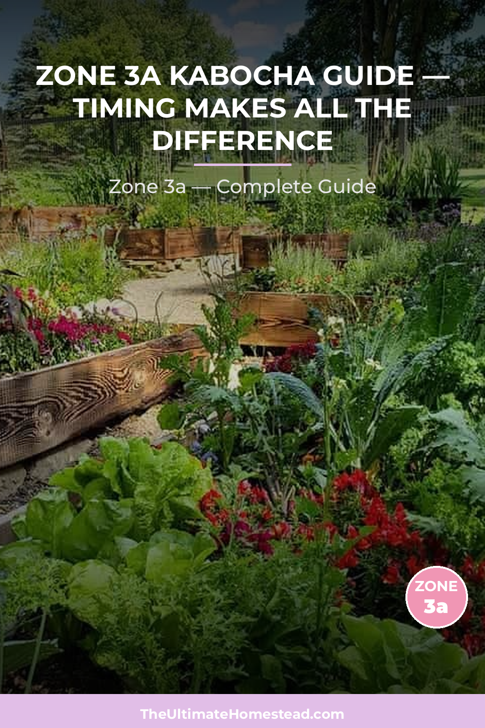 When to Plant Kabocha in Zone 3a