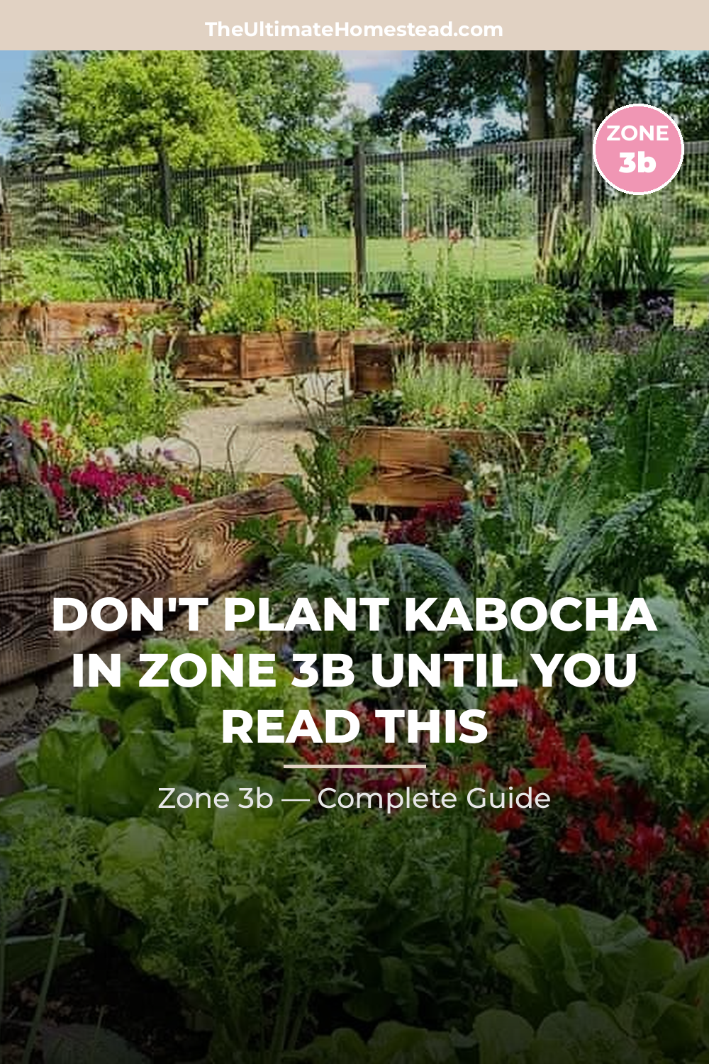 When to Plant Kabocha in Zone 3b