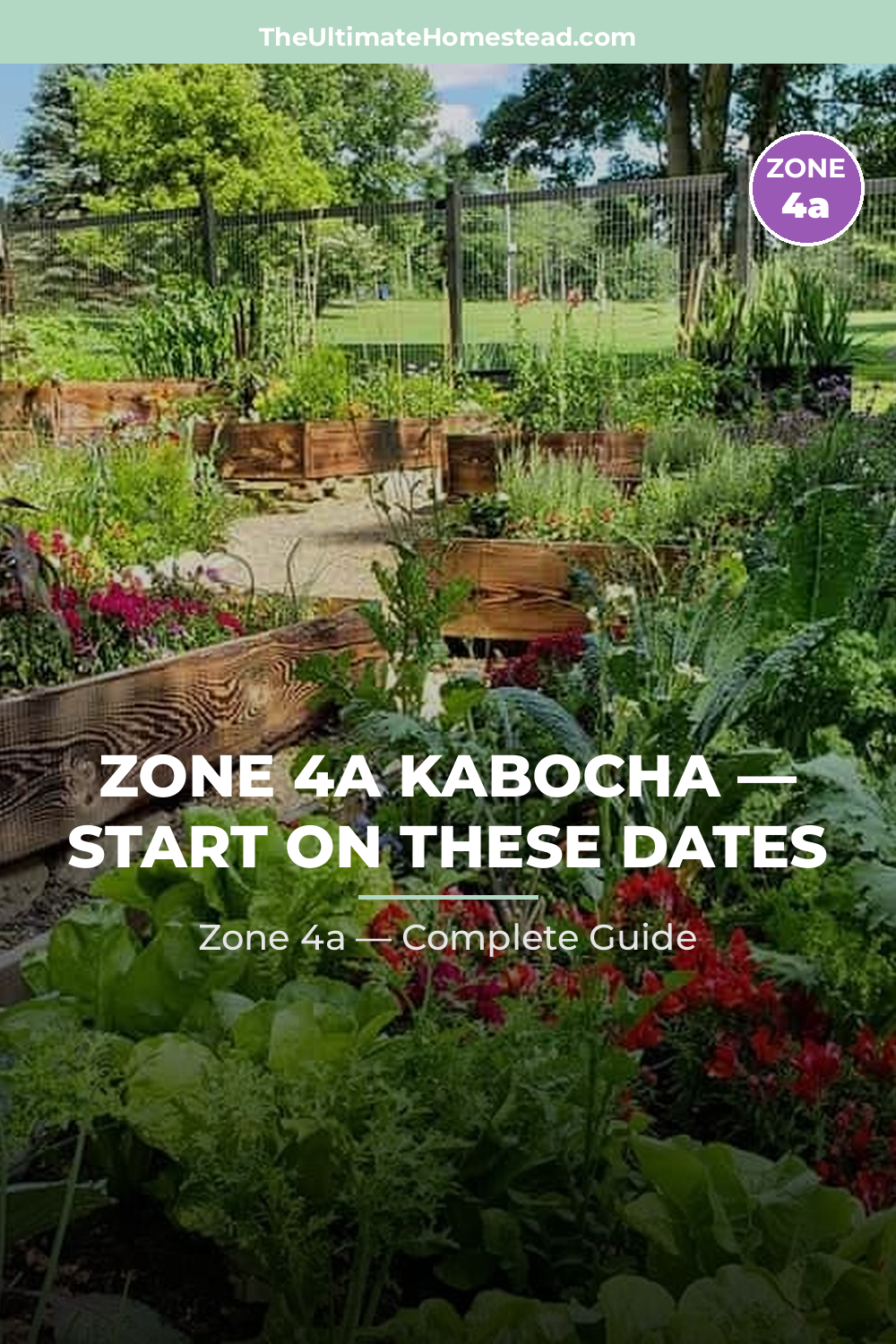 When to Plant Kabocha in Zone 4a