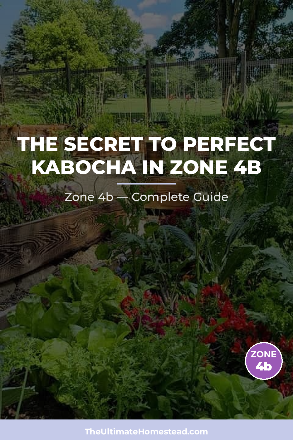 When to Plant Kabocha in Zone 4b