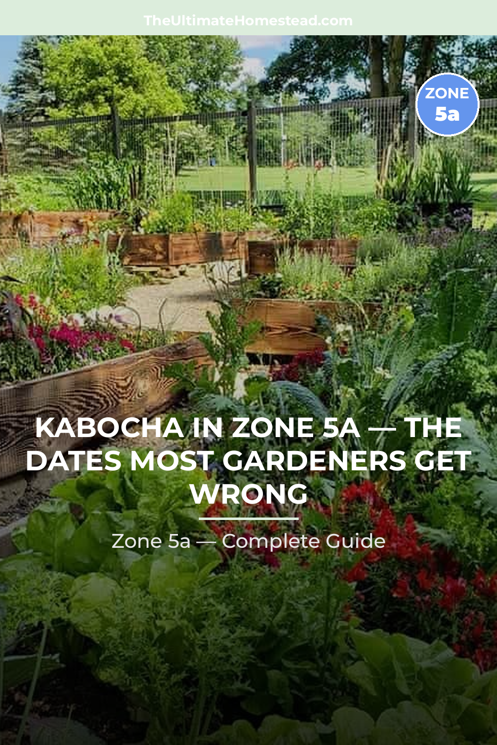 When to Plant Kabocha in Zone 5a