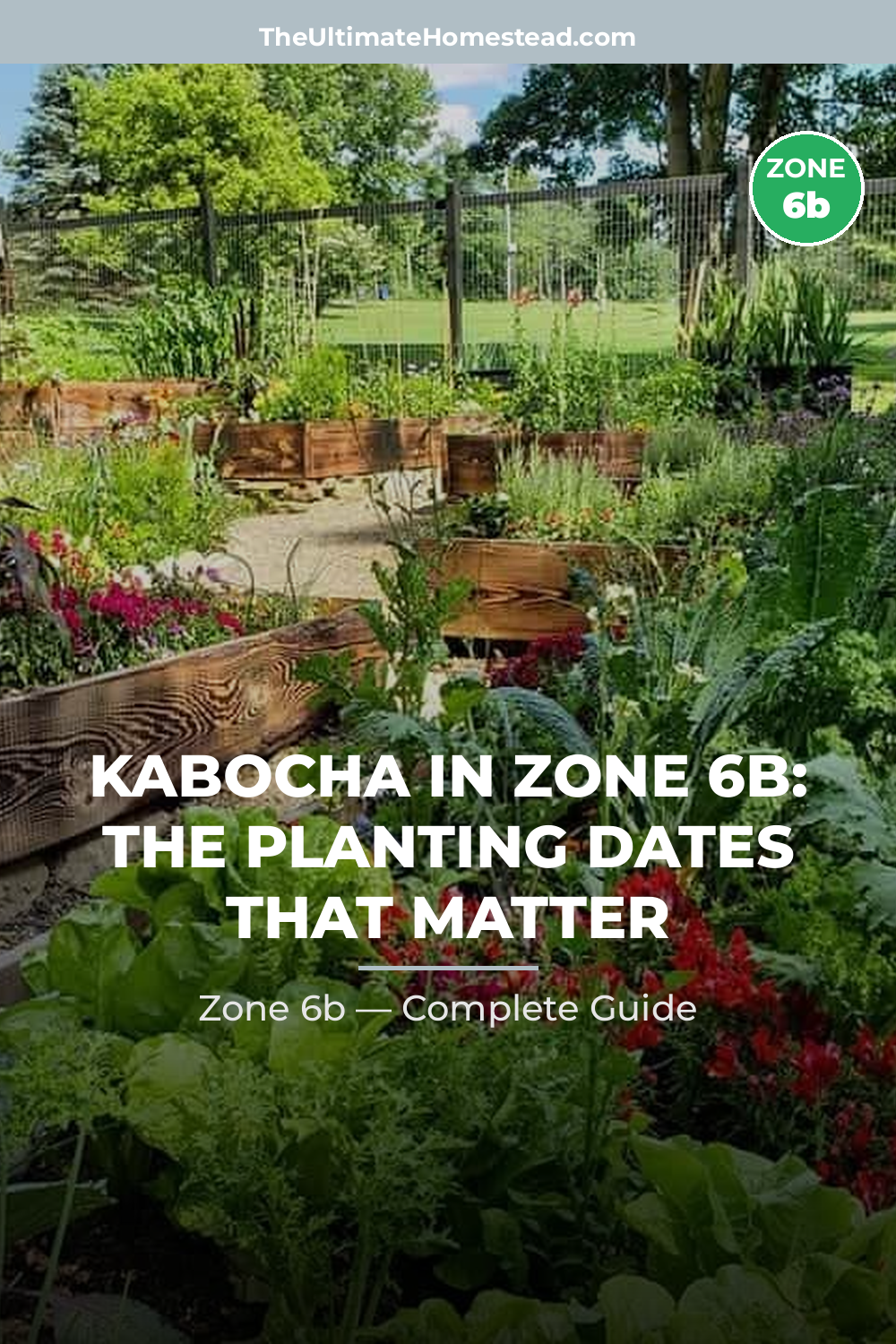 When to Plant Kabocha in Zone 6b