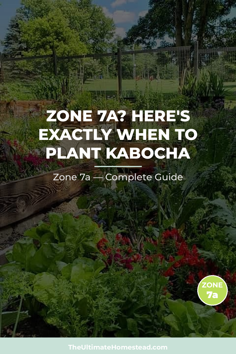 When to Plant Kabocha in Zone 7a