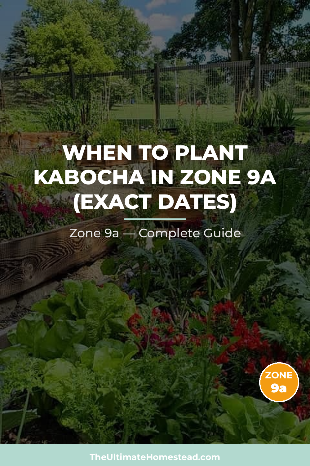 When to Plant Kabocha in Zone 9a