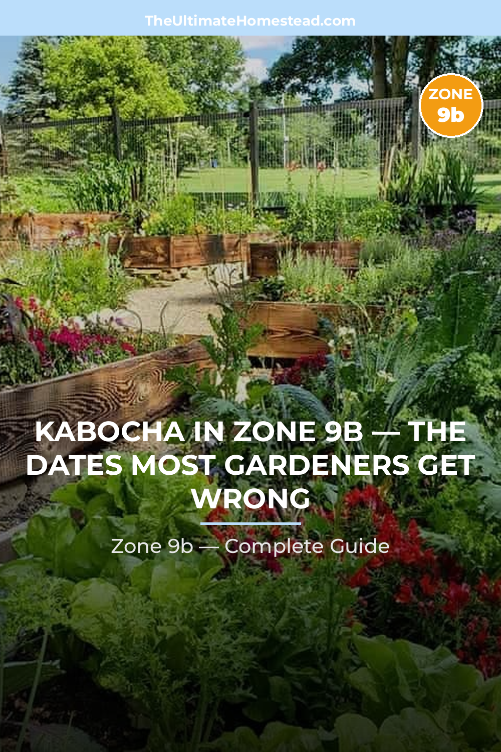 When to Plant Kabocha in Zone 9b