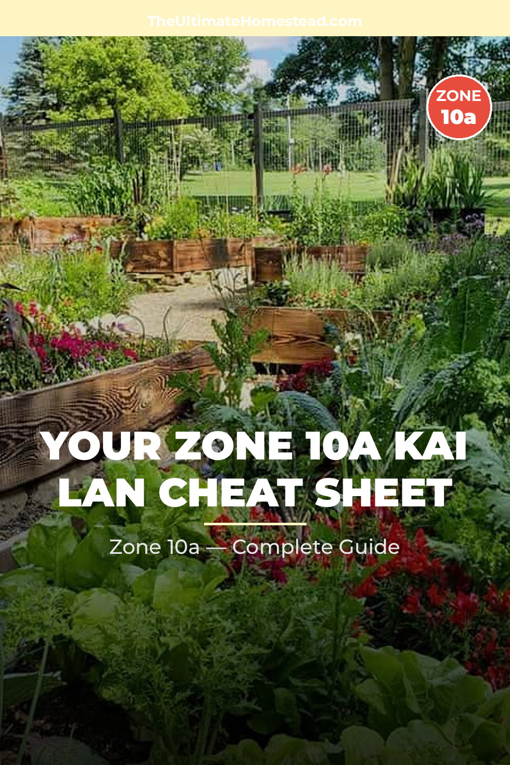 When to Plant Kai Lan in Zone 10a