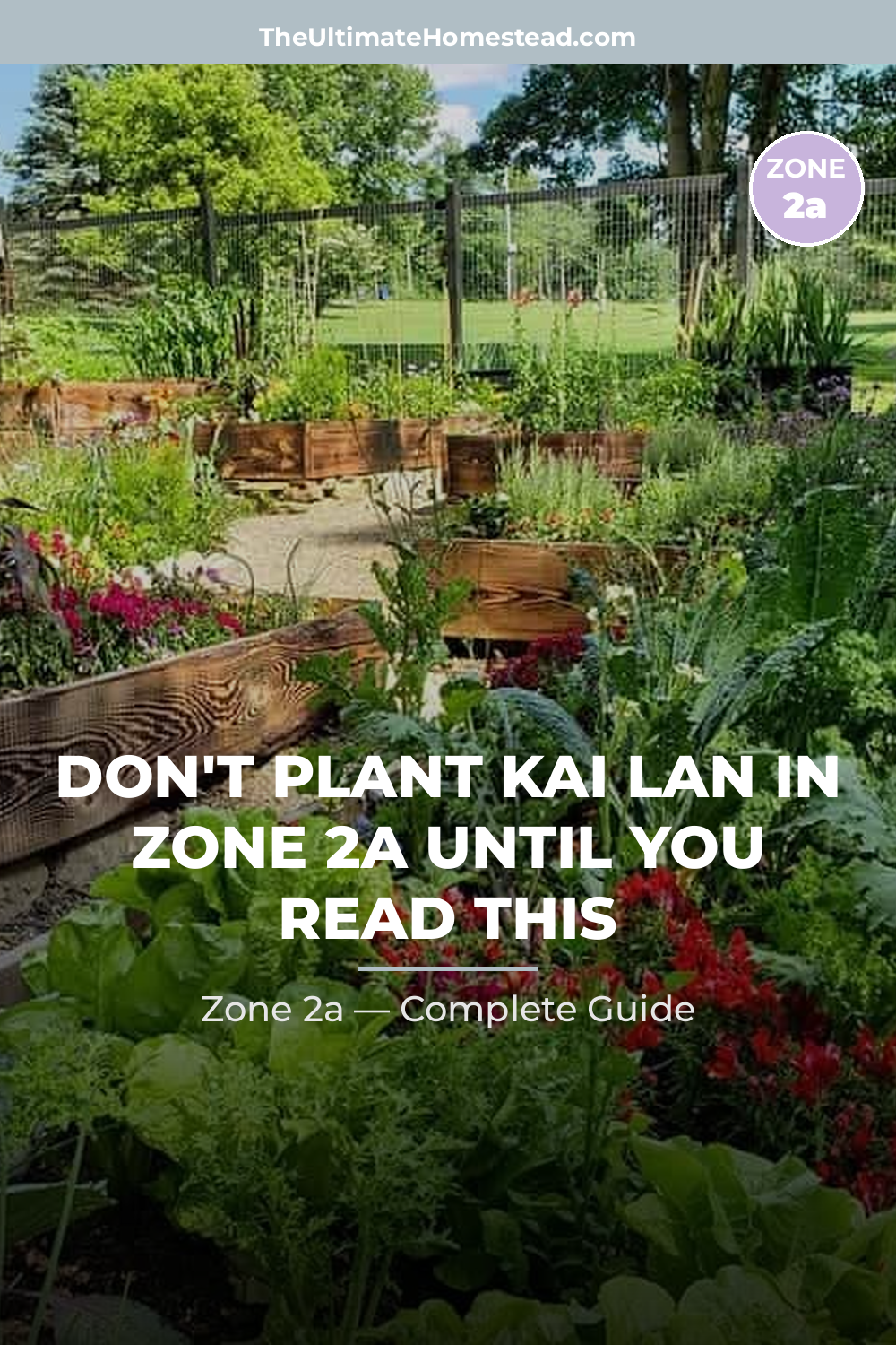 When to Plant Kai Lan in Zone 2a