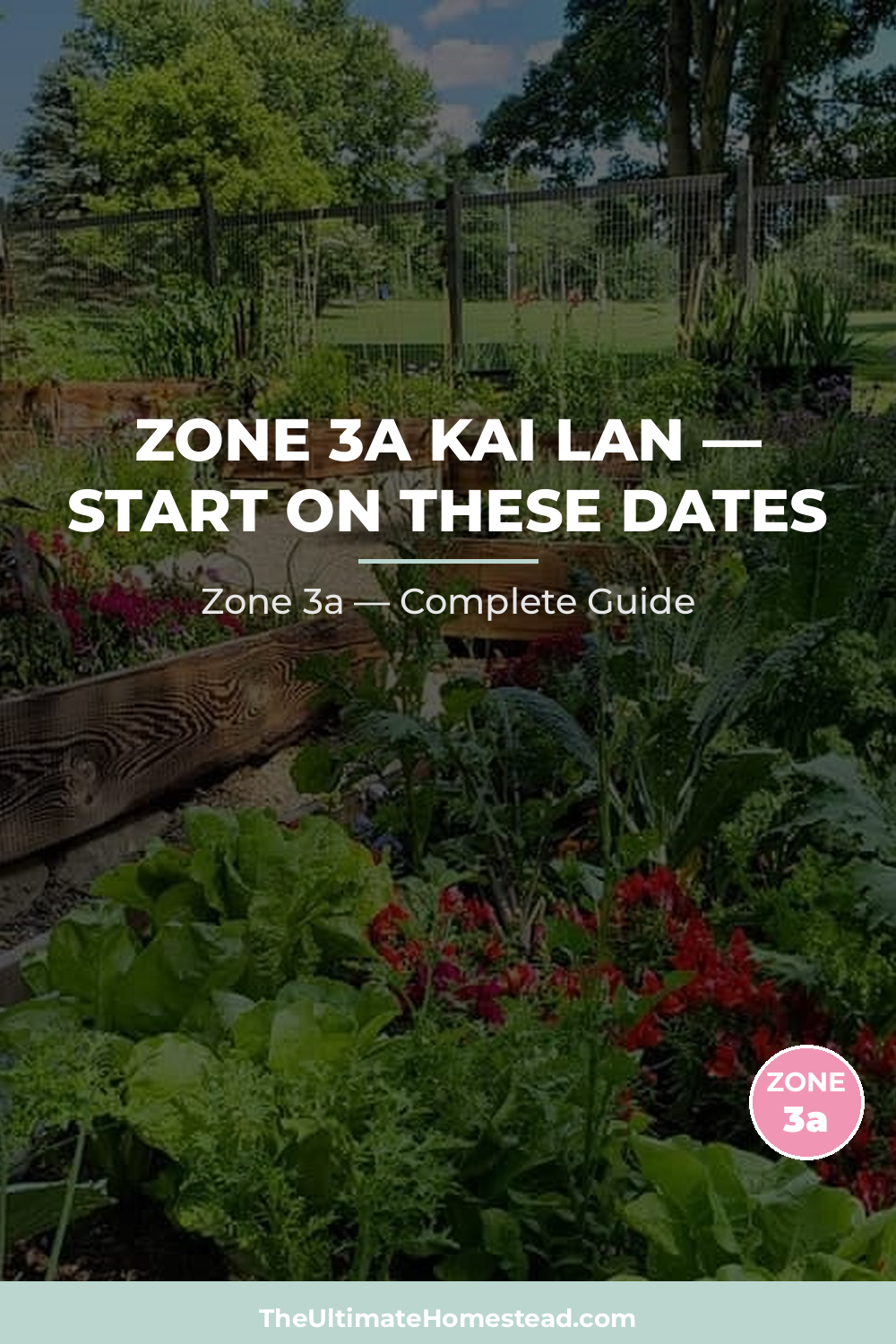 When to Plant Kai Lan in Zone 3a