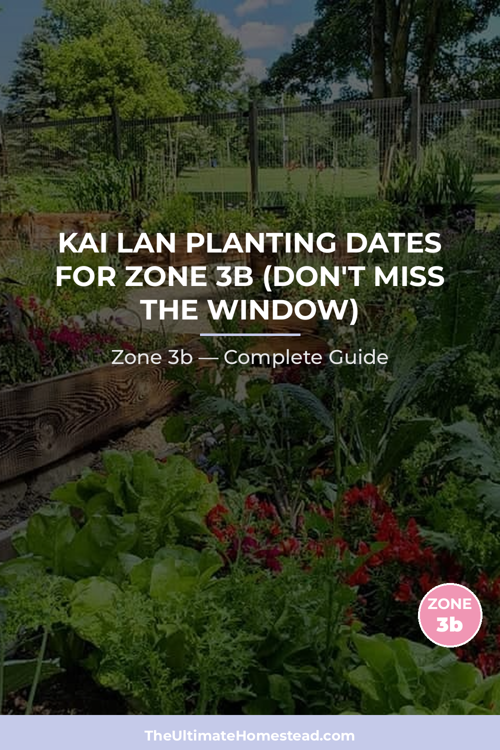 When to Plant Kai Lan in Zone 3b