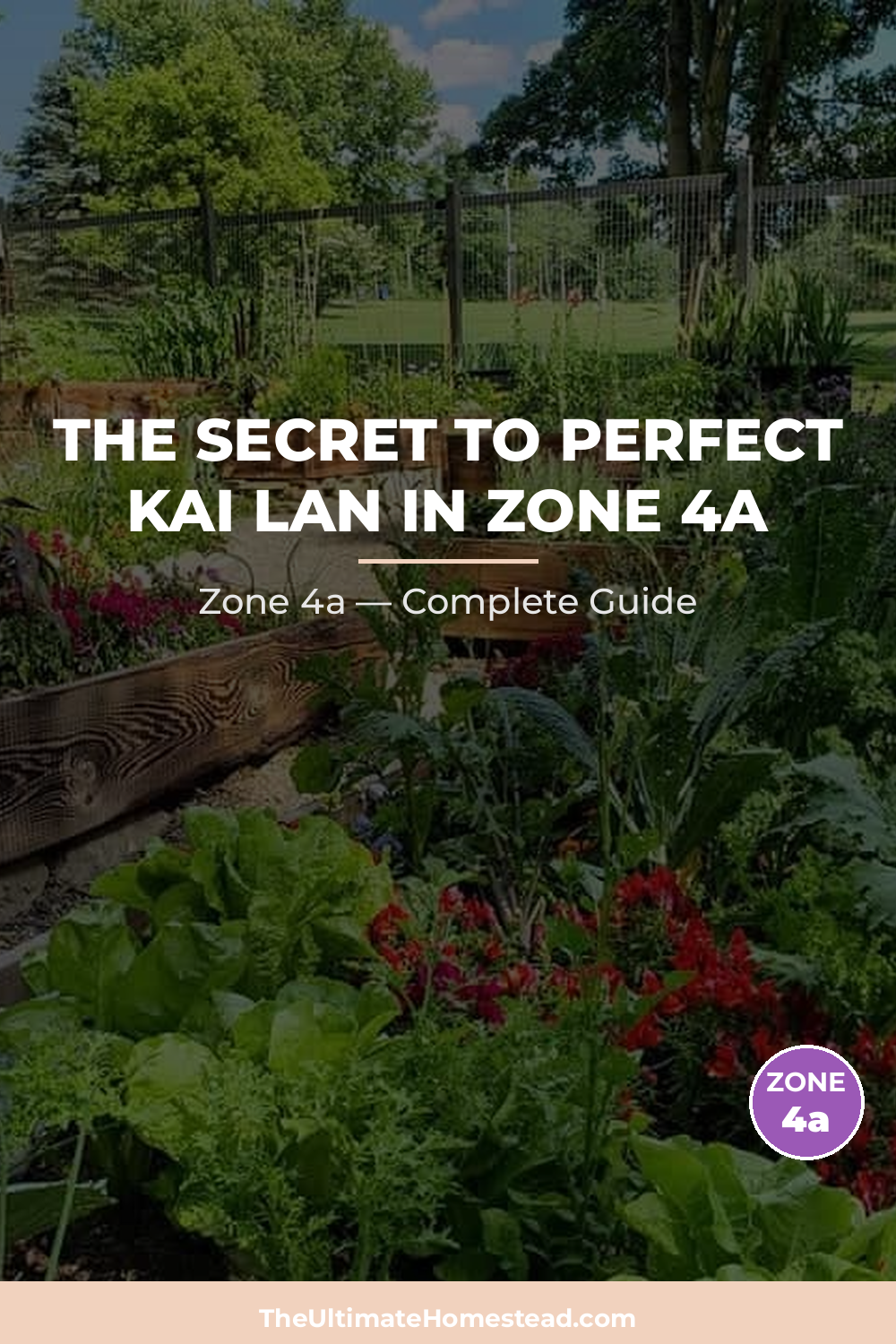 When to Plant Kai Lan in Zone 4a