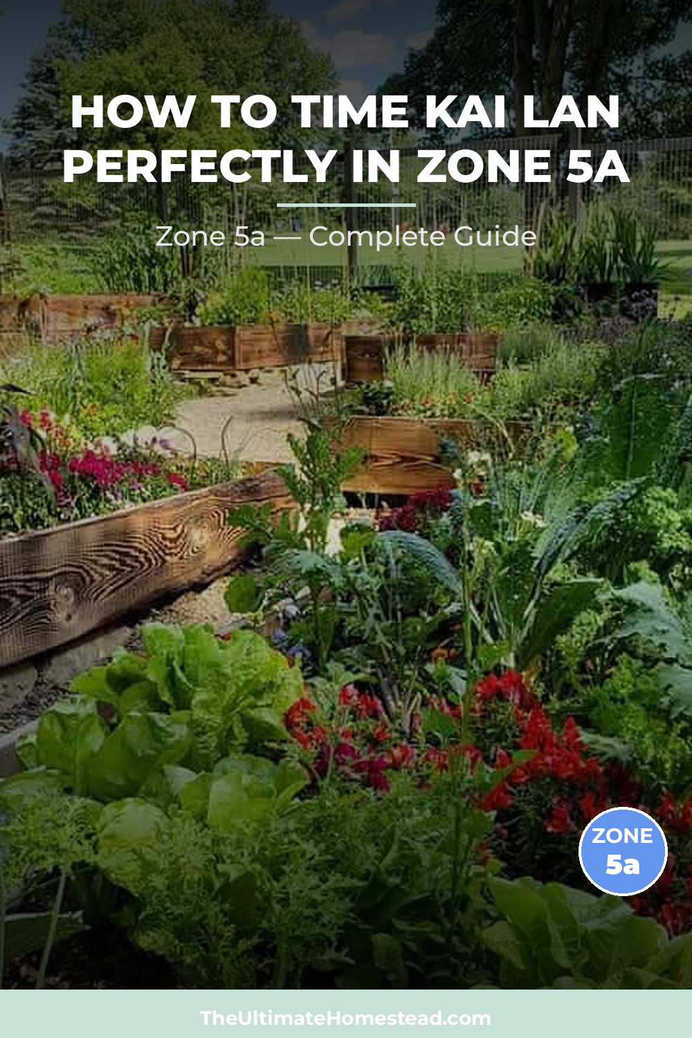 When to Plant Kai Lan in Zone 5a