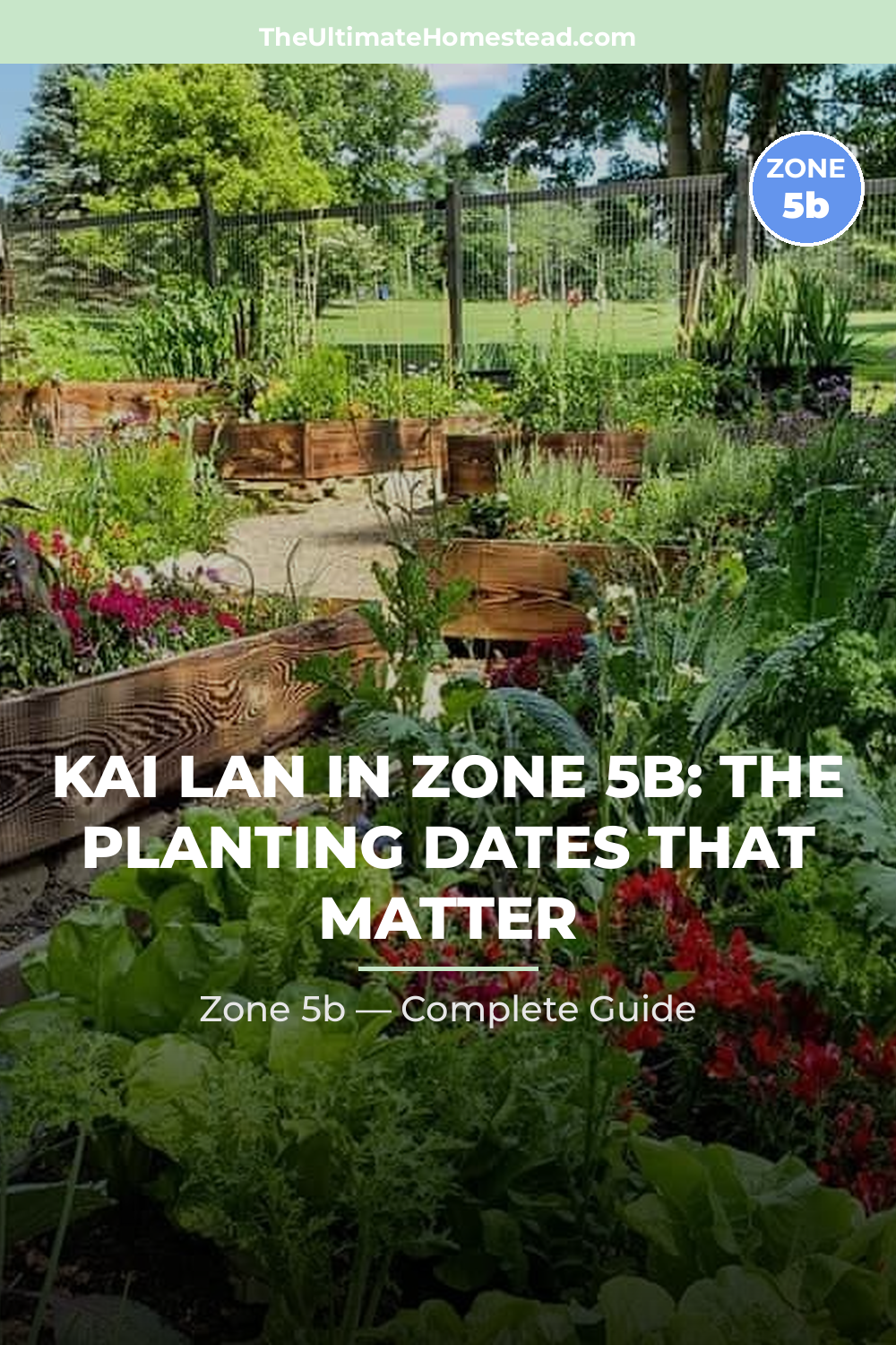 When to Plant Kai Lan in Zone 5b