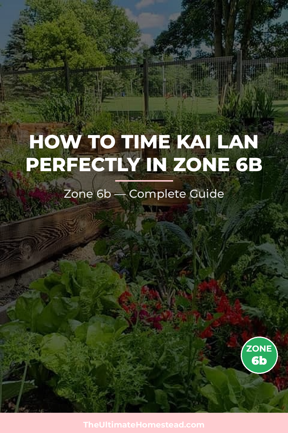 When to Plant Kai Lan in Zone 6b
