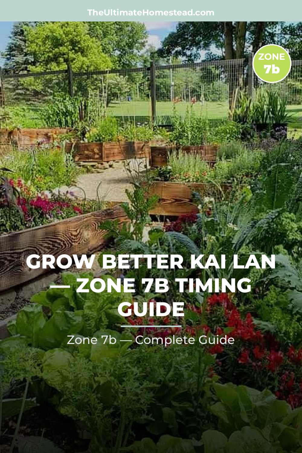 When to Plant Kai Lan in Zone 7b