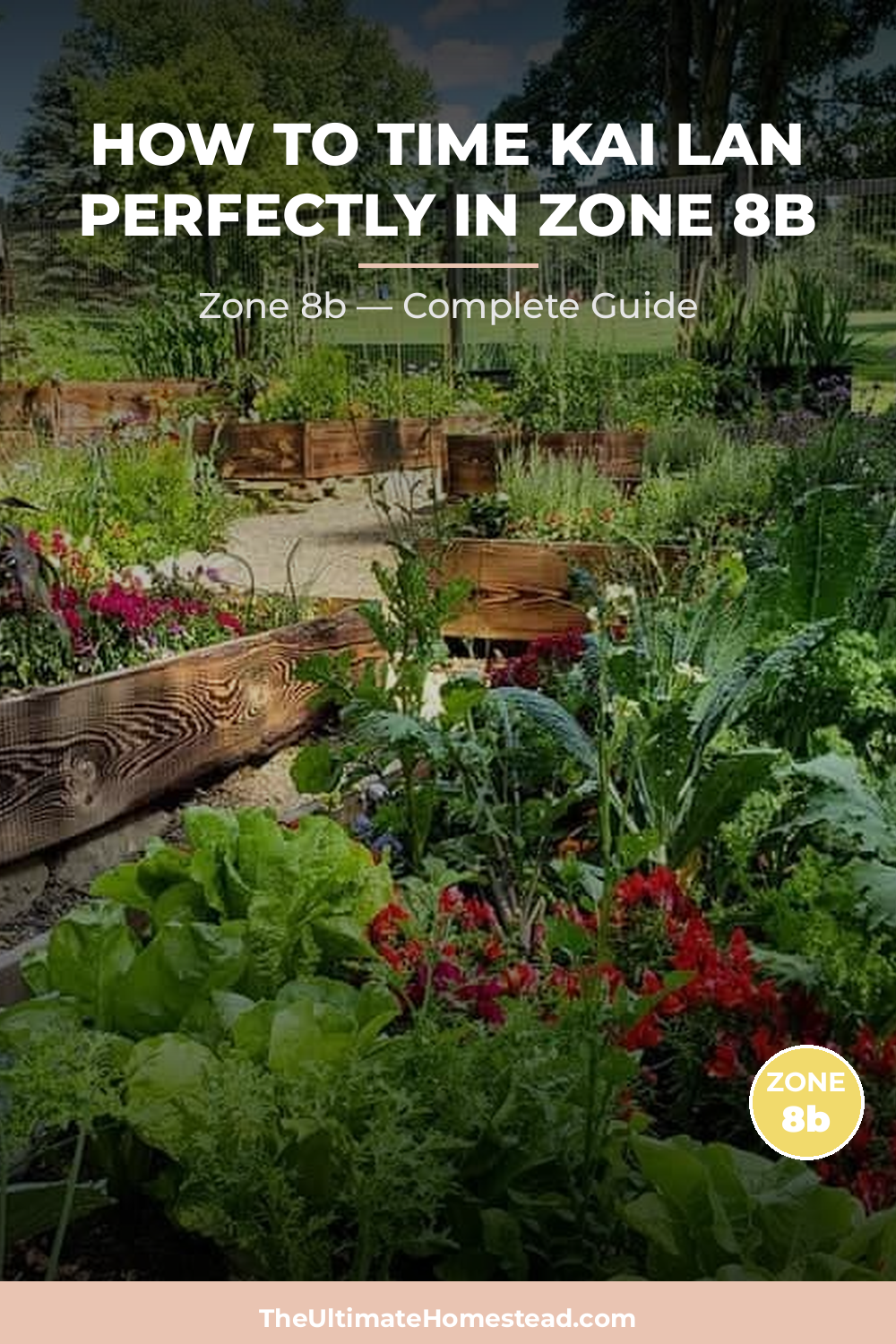 When to Plant Kai Lan in Zone 8b