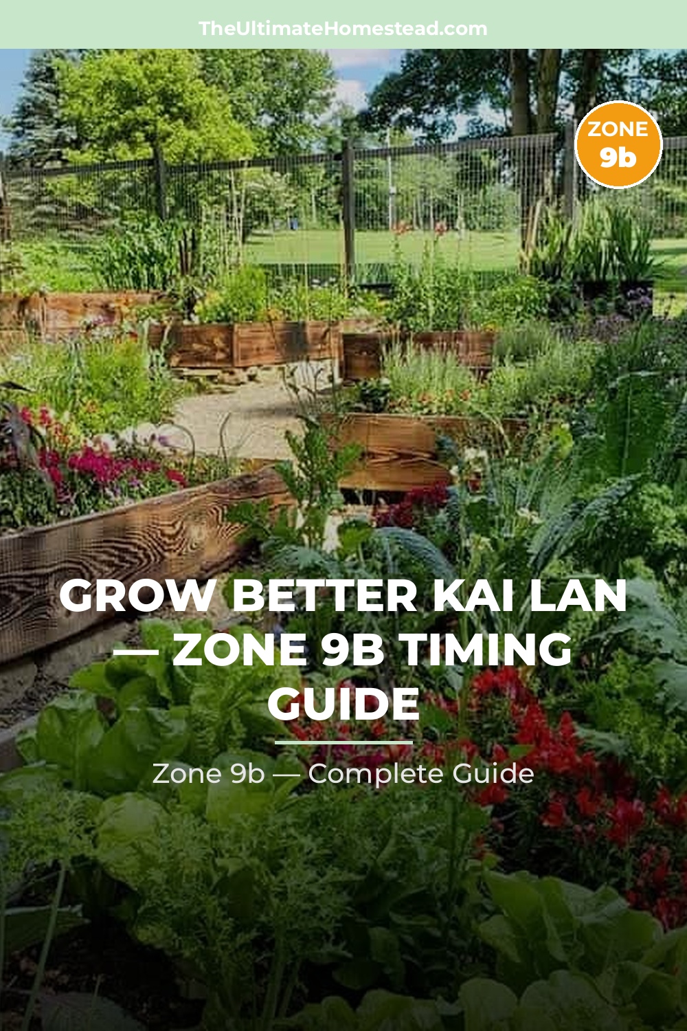 When to Plant Kai Lan in Zone 9b
