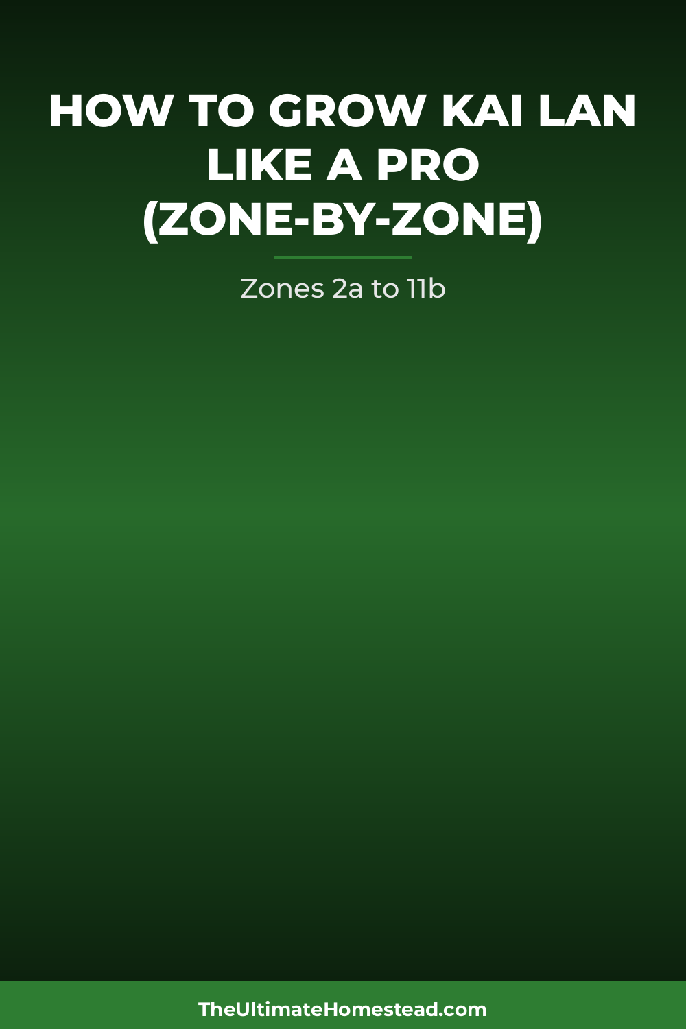 Kai Lan Planting Guide