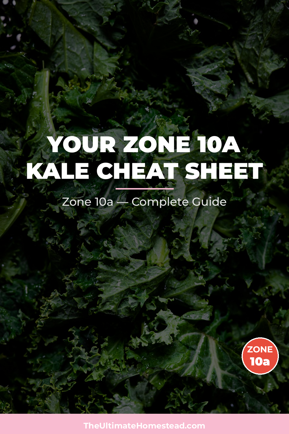 When to Plant Kale in Zone 10a