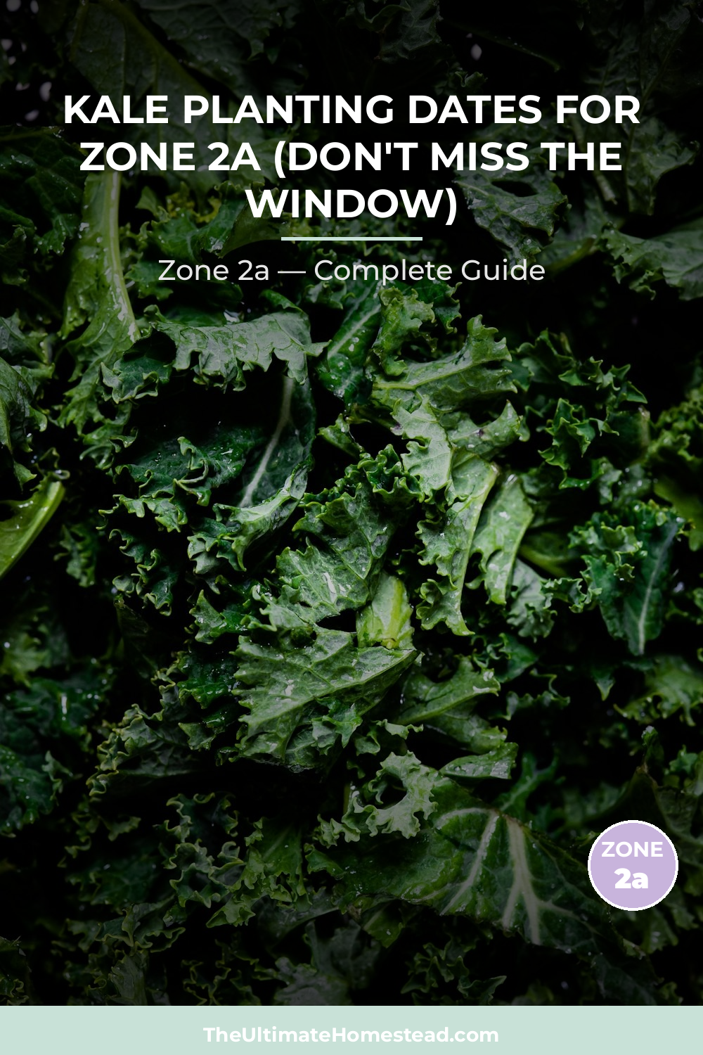 When to Plant Kale in Zone 2a