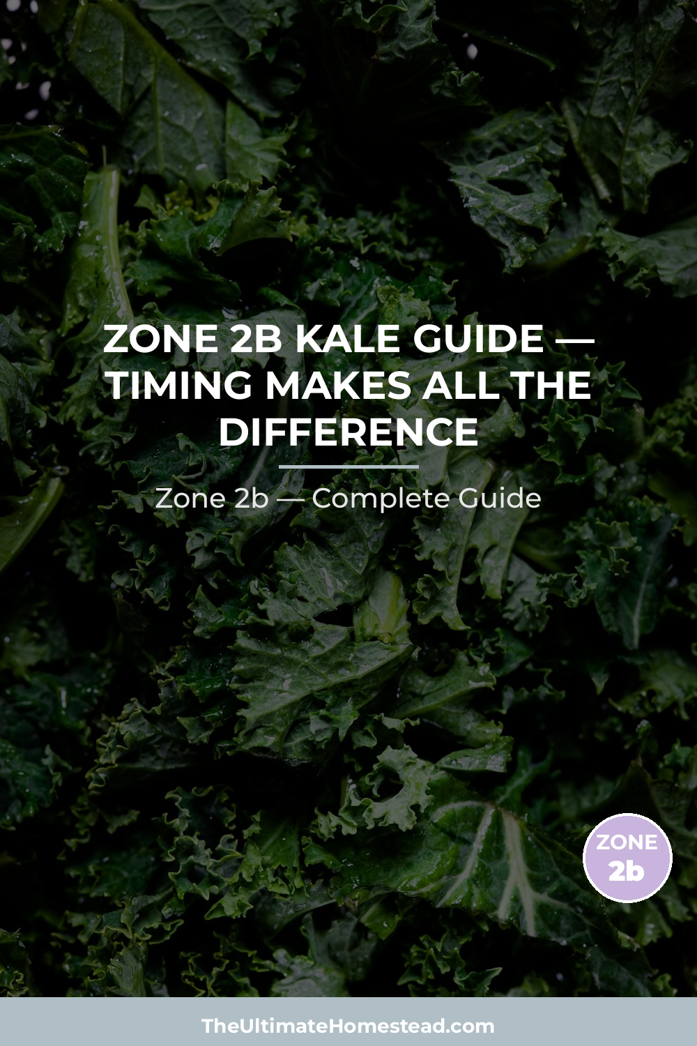 When to Plant Kale in Zone 2b