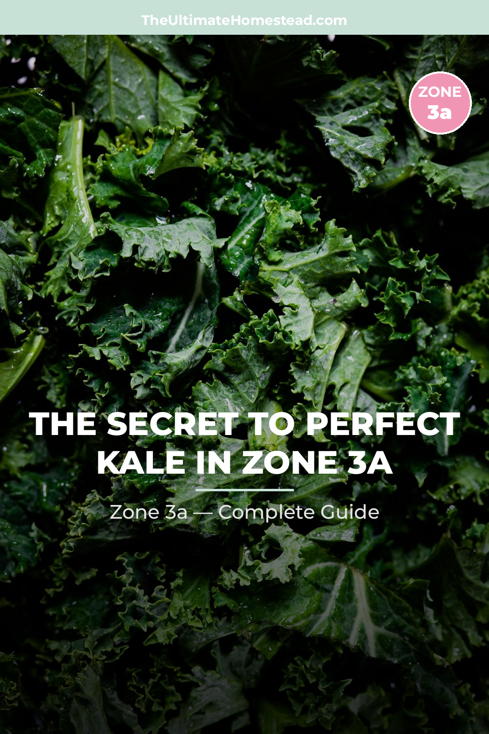 When to Plant Kale in Zone 3a