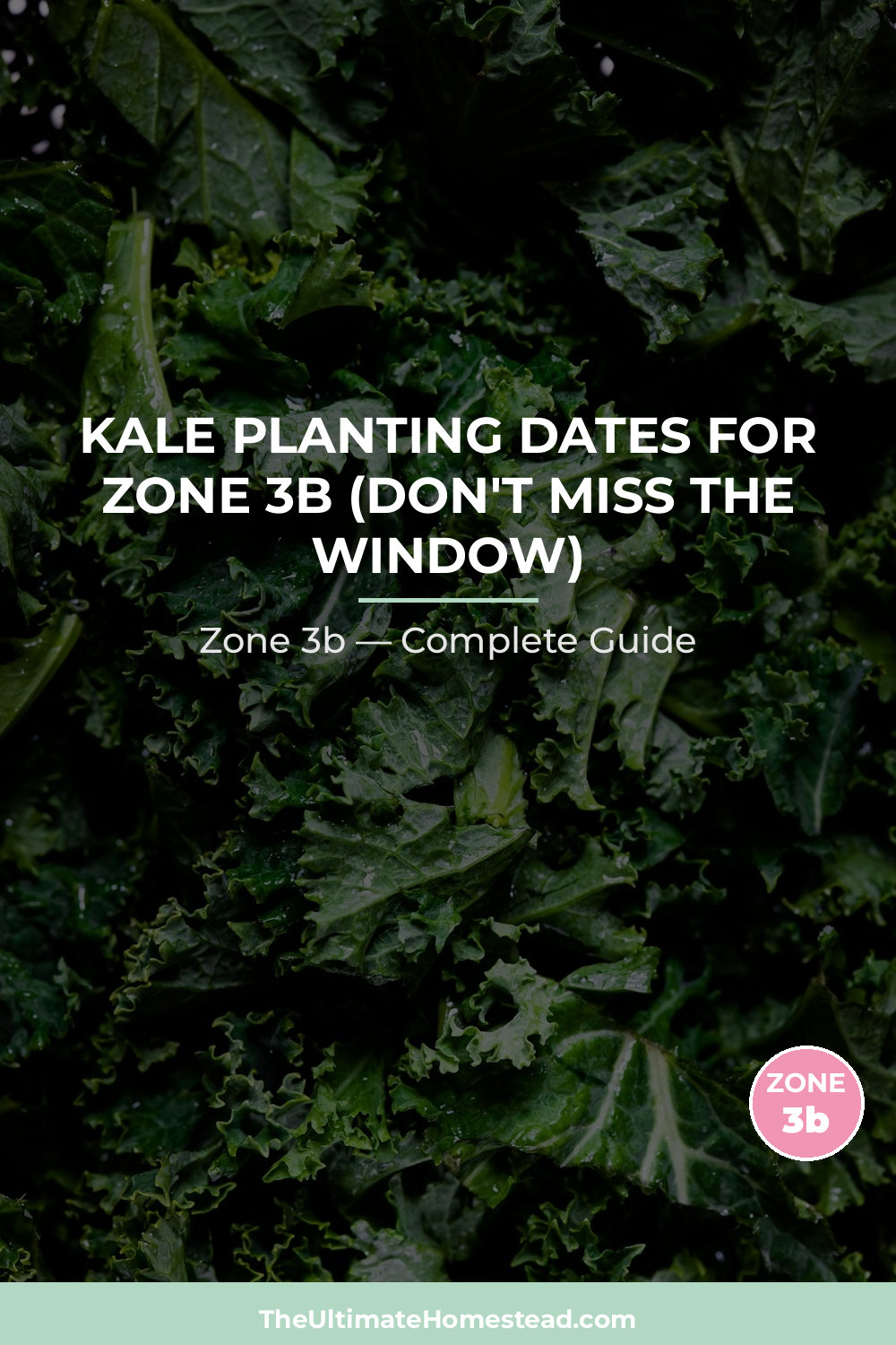 When to Plant Kale in Zone 3b