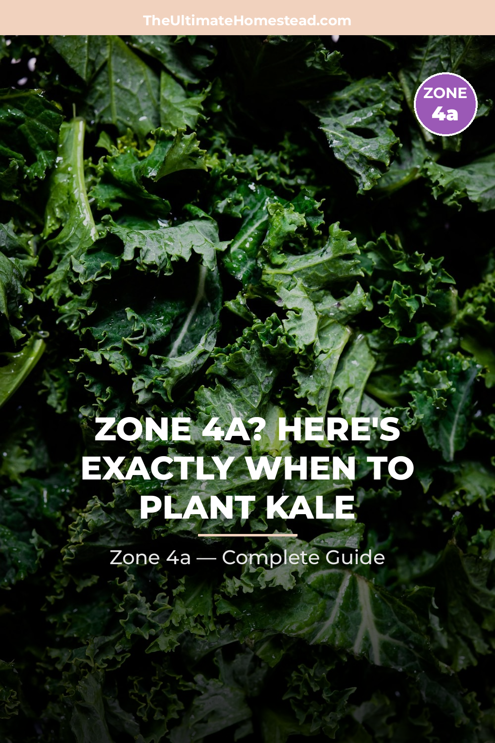 When to Plant Kale in Zone 4a