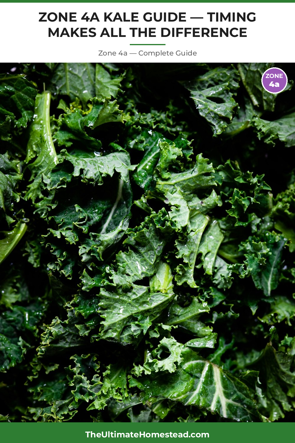 When to Plant Kale in Zone 4a