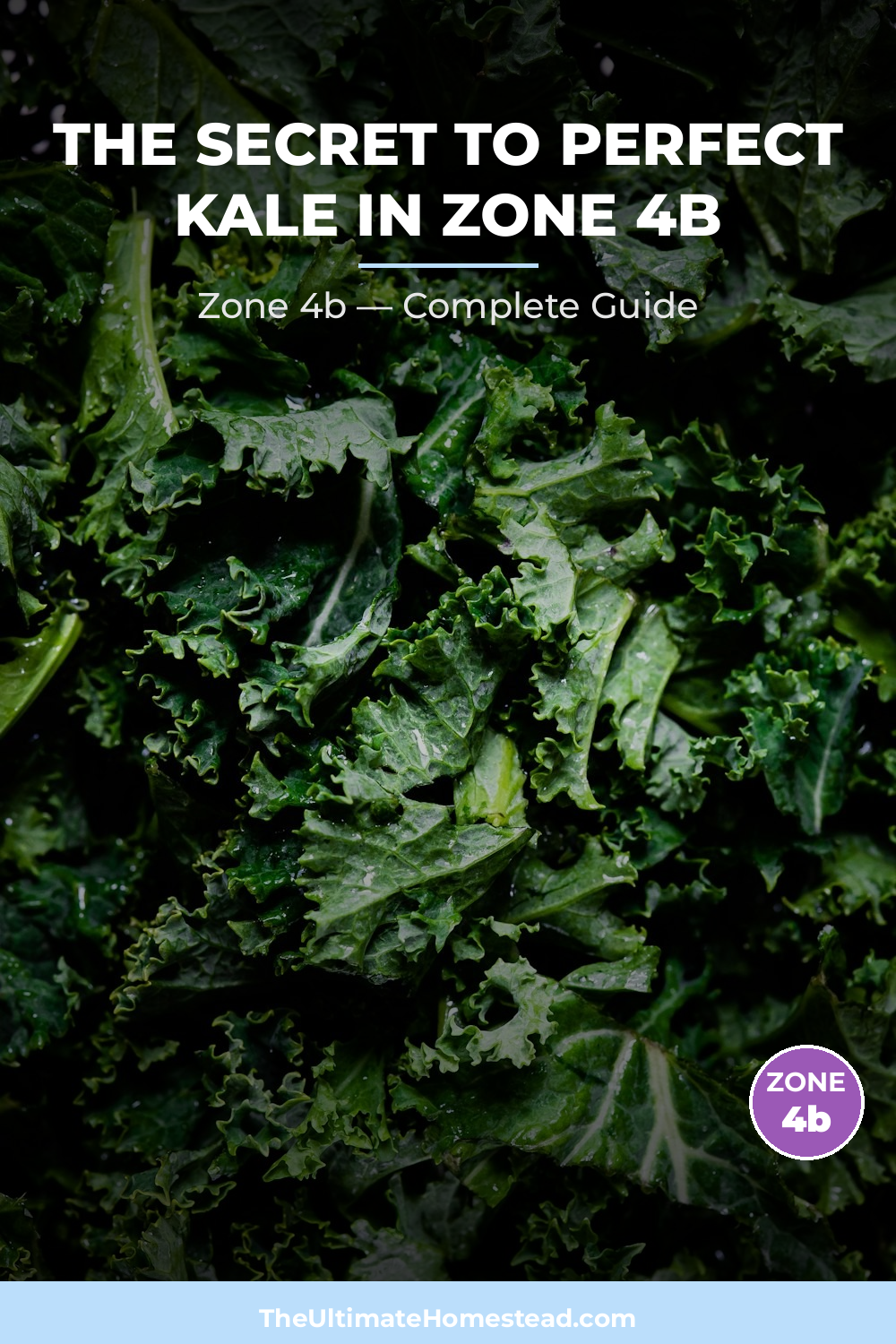 When to Plant Kale in Zone 4b