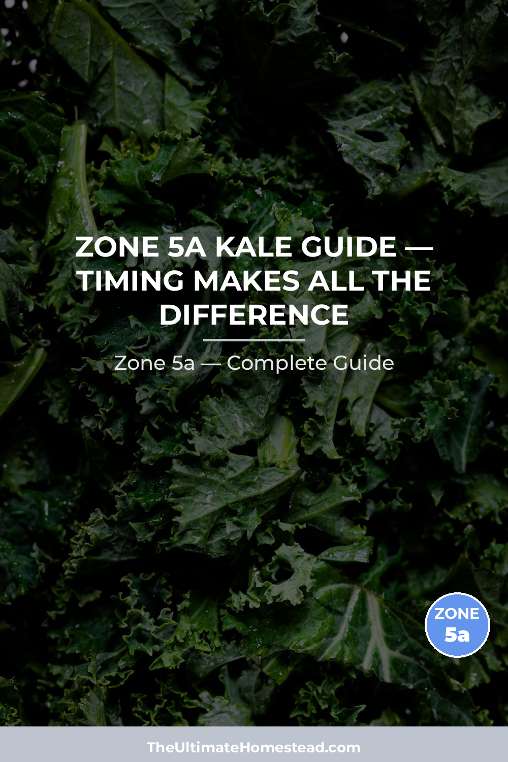 When to Plant Kale in Zone 5a
