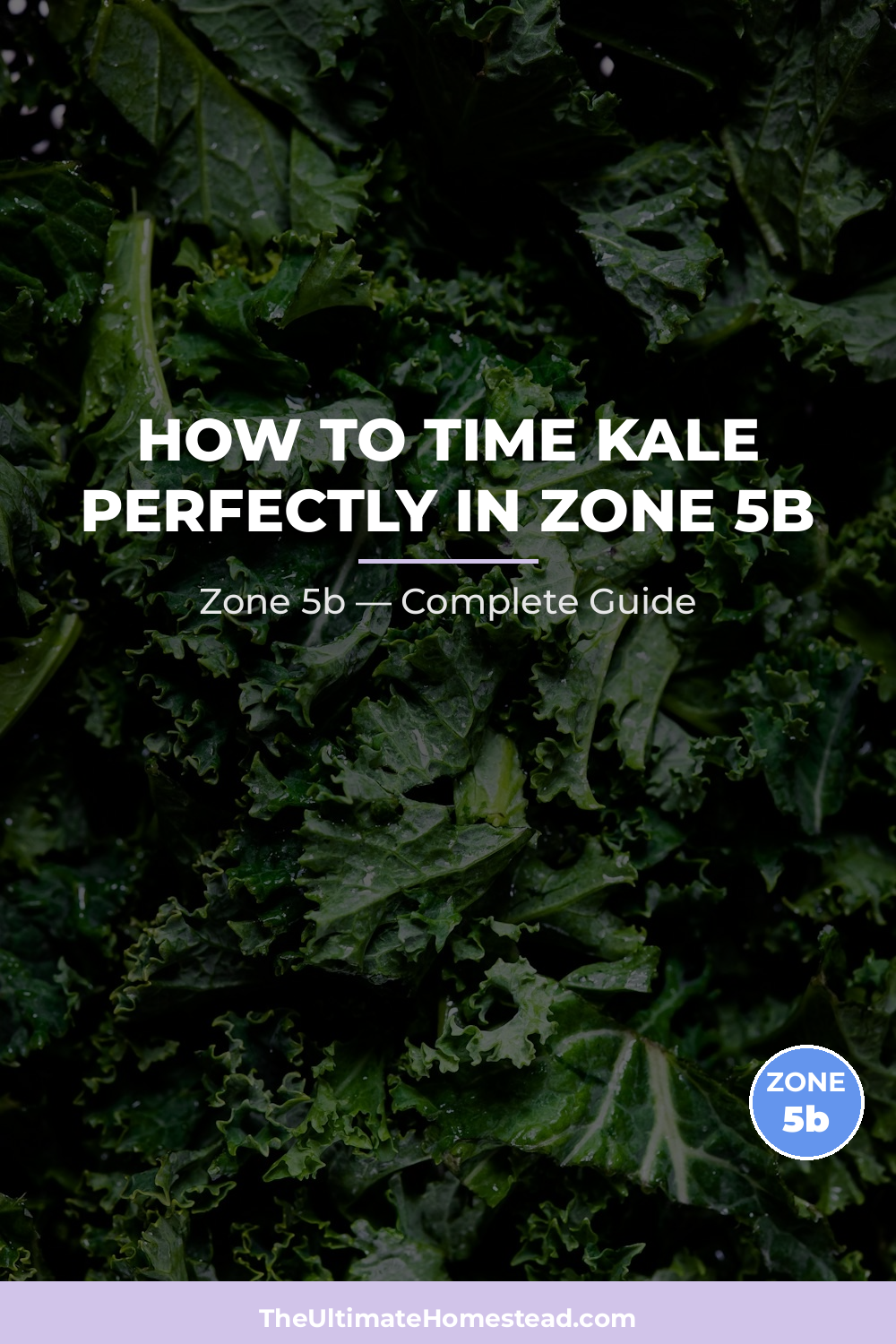 When to Plant Kale in Zone 5b