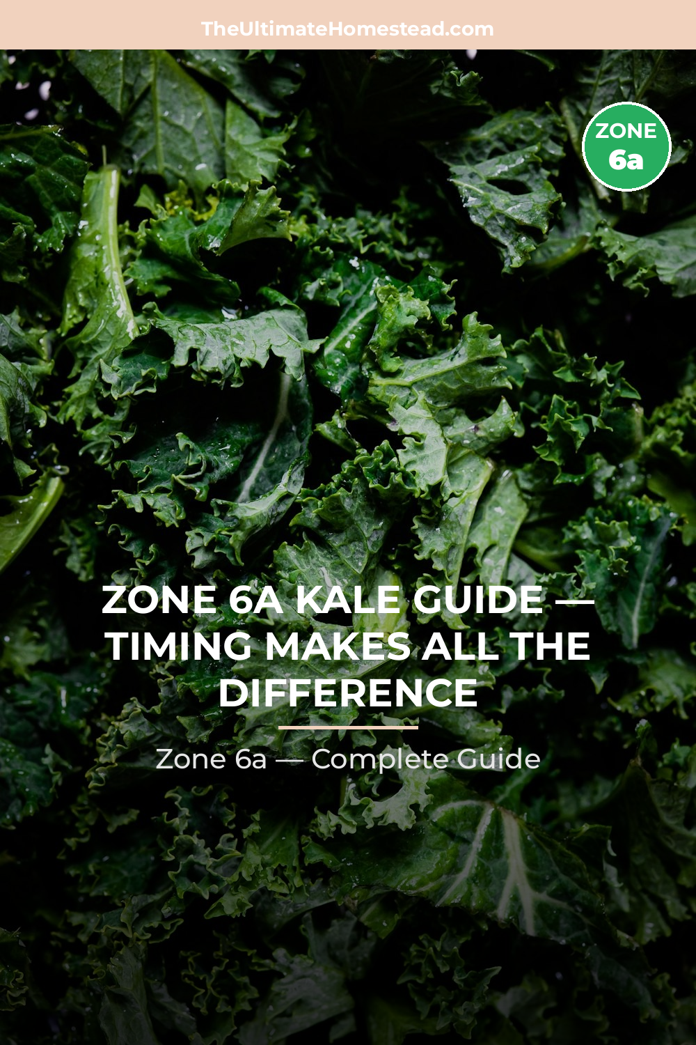 When to Plant Kale in Zone 6a
