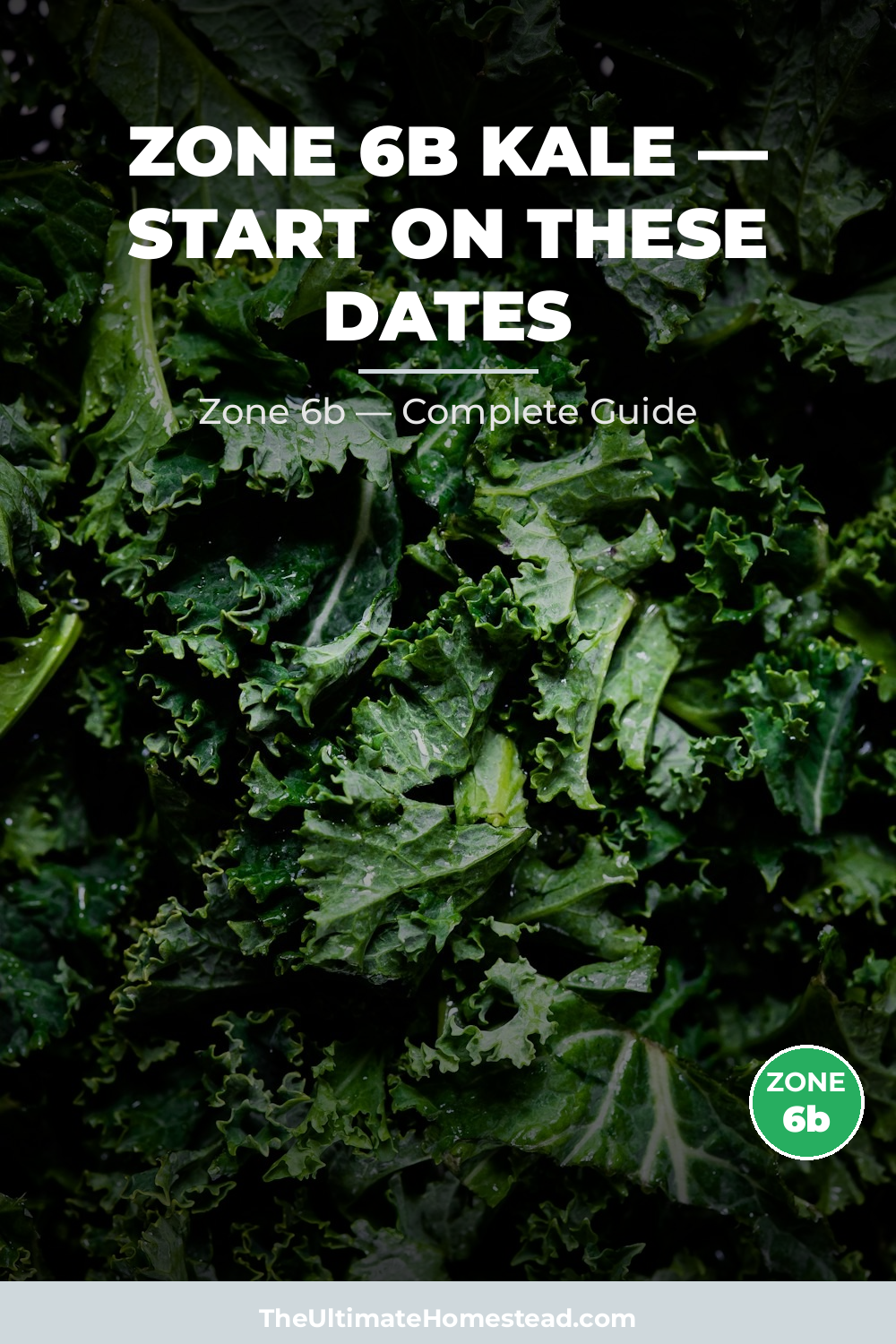 When to Plant Kale in Zone 6b