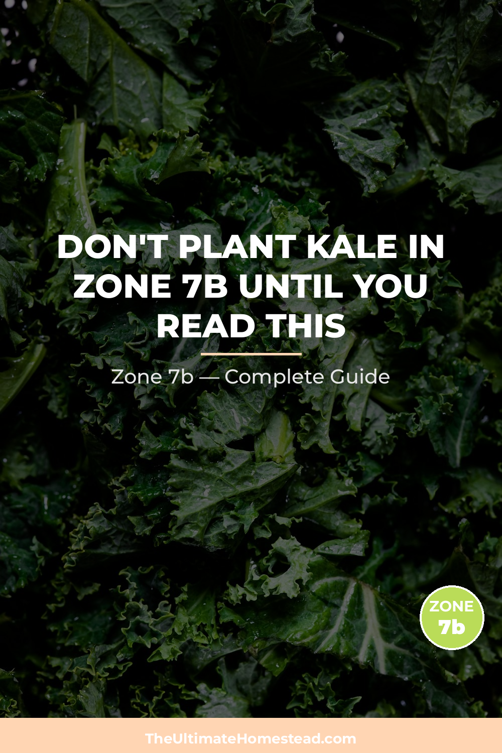 When to Plant Kale in Zone 7b
