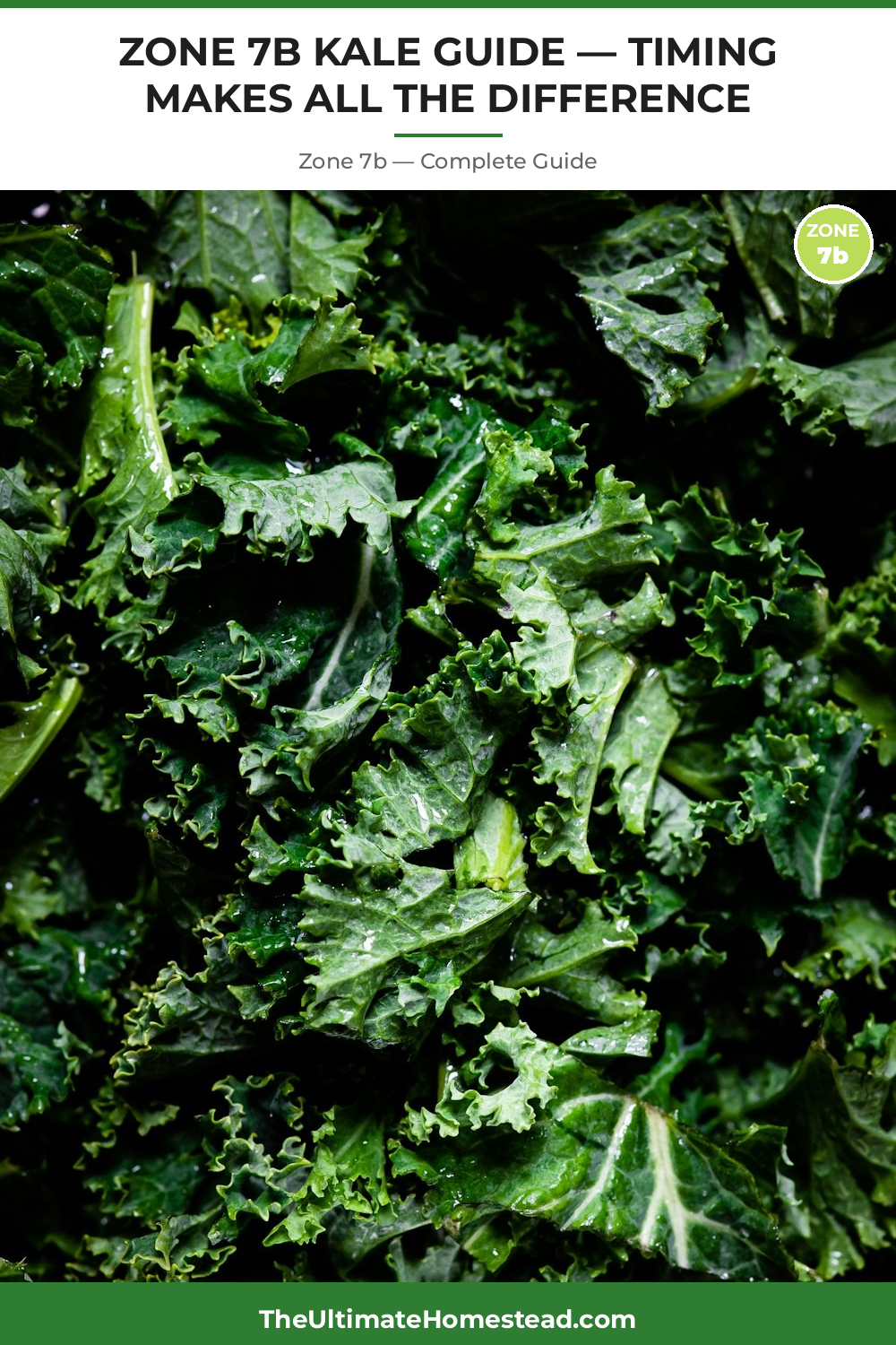 When to Plant Kale in Zone 7b