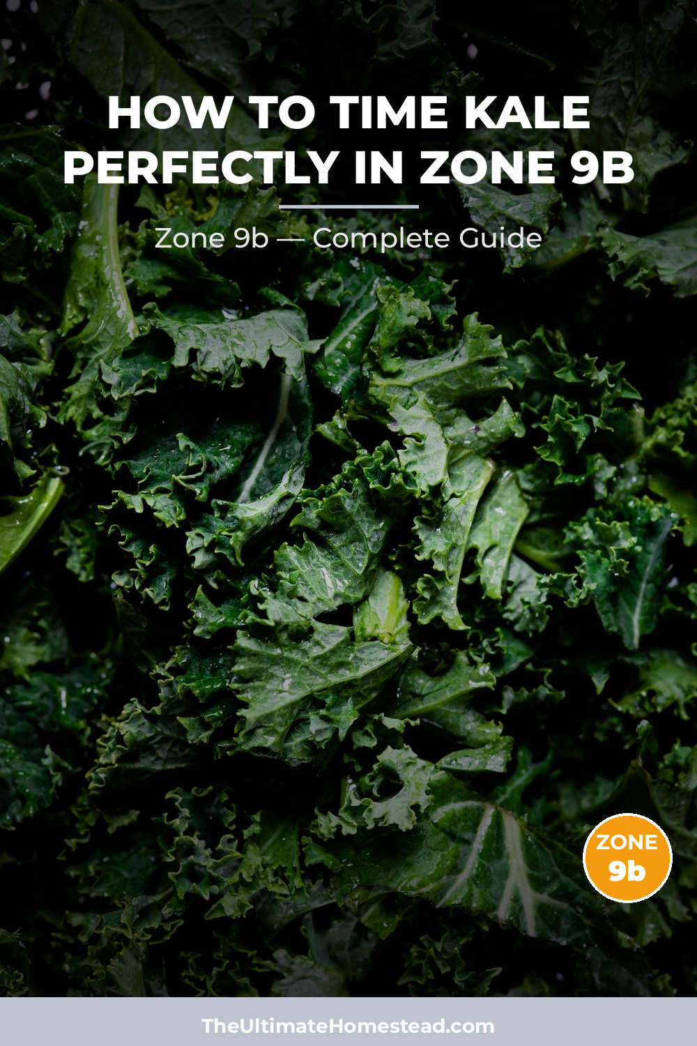 When to Plant Kale in Zone 9b