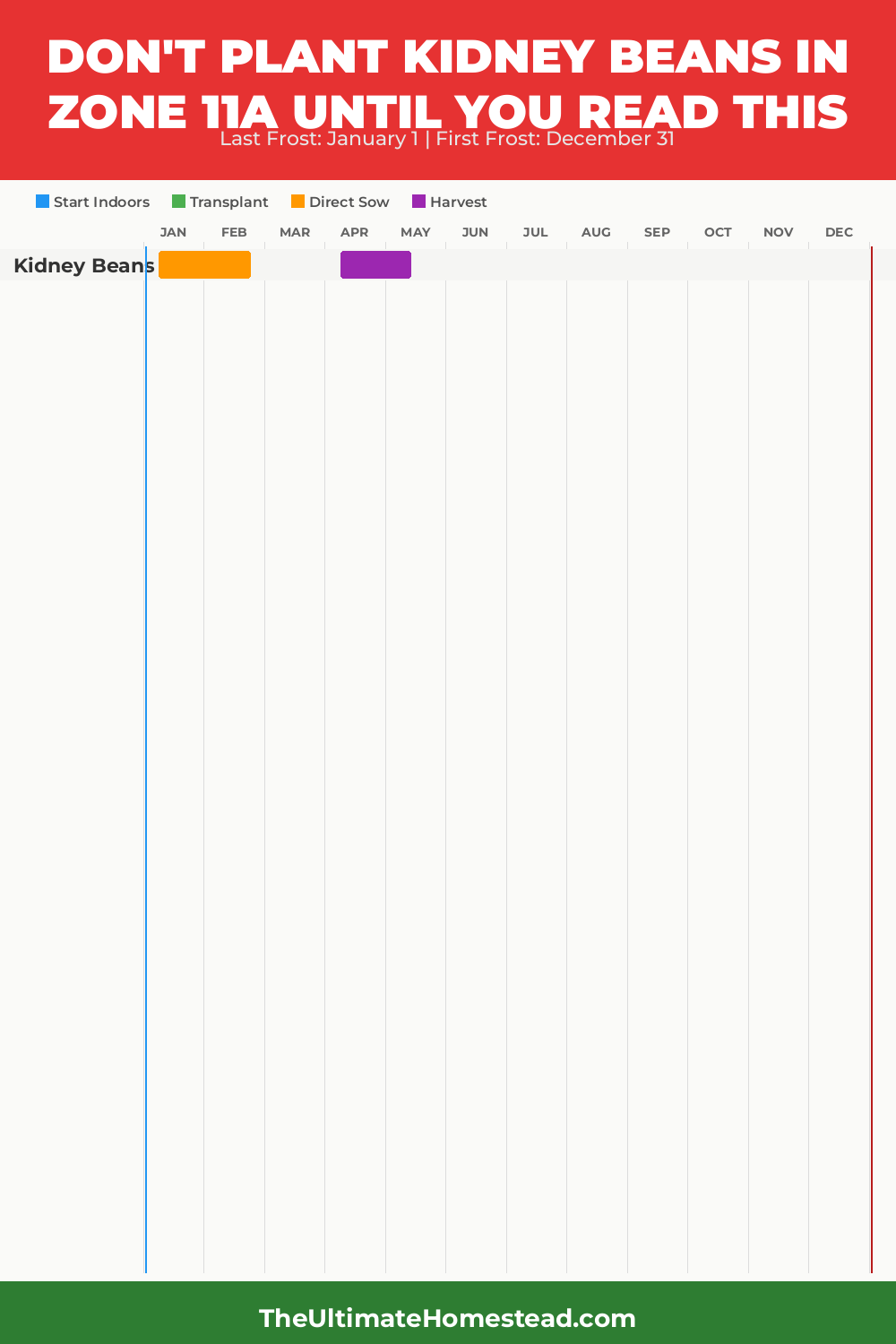 When to Plant Kidney Beans in Zone 11a